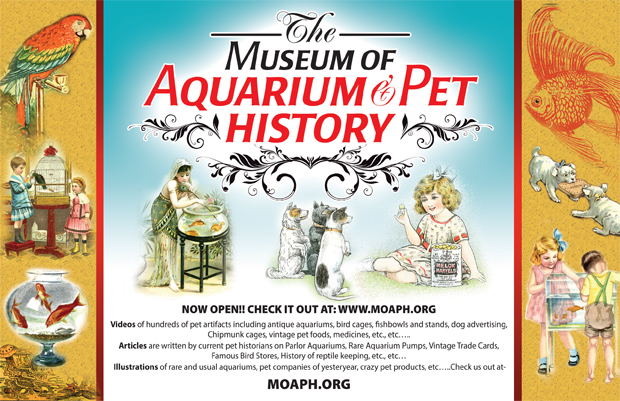 Museum of Aquarium and Pet History