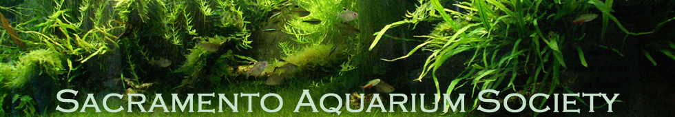 Sacramento Aquarium Society